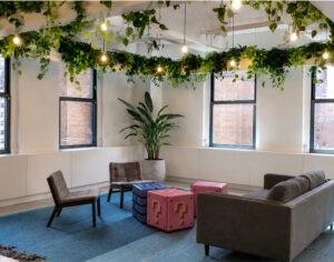 Biophilic office lounge with hanging greenery, warm lighting, and interior plant design creating a more connected workplace environment.